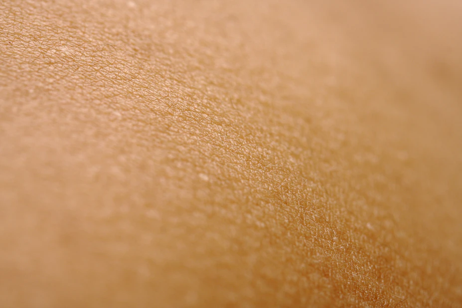 Close-up of skin texture