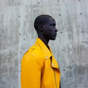 The Bold Bomber